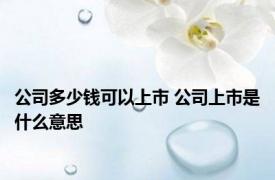 公司多少钱可以上市 公司上市是什么意思