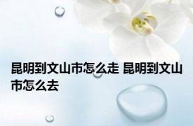 昆明到文山市怎么走 昆明到文山市怎么去