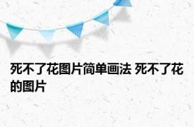 死不了花图片简单画法 死不了花的图片 