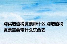购买增值税发票带什么 购增值税发票需要带什么东西去