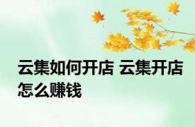 云集如何开店 云集开店怎么赚钱
