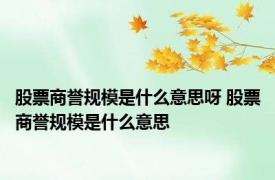 股票商誉规模是什么意思呀 股票商誉规模是什么意思