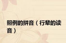 照例的拼音（行辈的读音）