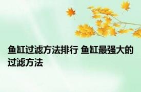 鱼缸过滤方法排行 鱼缸最强大的过滤方法