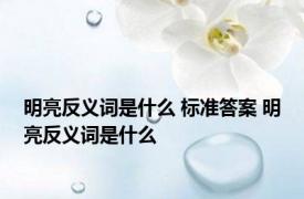 明亮反义词是什么 标准答案 明亮反义词是什么