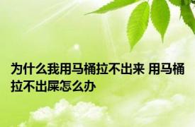 为什么我用马桶拉不出来 用马桶拉不出屎怎么办