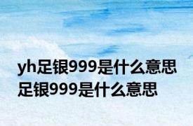 yh足银999是什么意思 足银999是什么意思