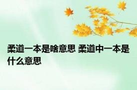 柔道一本是啥意思 柔道中一本是什么意思