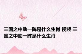 三国之中助一阵是什么生肖 视频 三国之中助一阵是什么生肖