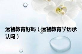 远智教育好吗（远智教育学历承认吗）