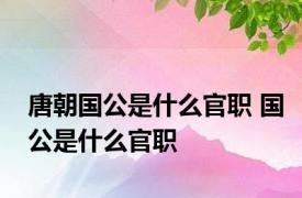 唐朝国公是什么官职 国公是什么官职
