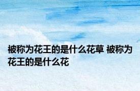 被称为花王的是什么花草 被称为花王的是什么花
