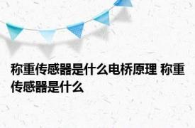 称重传感器是什么电桥原理 称重传感器是什么