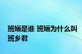 班婳是谁 班婳为什么叫班乡君