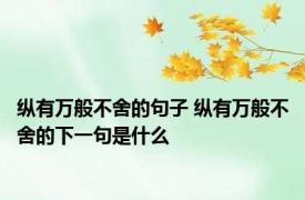 纵有万般不舍的句子 纵有万般不舍的下一句是什么
