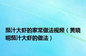 茄汁大虾的家常做法视频（黄晓明茄汁大虾的做法）