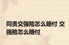 同责交强险怎么赔付 交强险怎么赔付