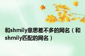和shmily意思差不多的网名（和shmily匹配的网名）