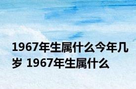 1967年生属什么今年几岁 1967年生属什么