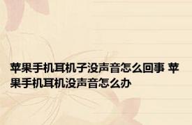 苹果手机耳机子没声音怎么回事 苹果手机耳机没声音怎么办