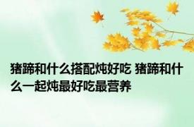 猪蹄和什么搭配炖好吃 猪蹄和什么一起炖最好吃最营养
