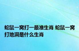蛇鼠一窝打一最准生肖 蛇鼠一窝打地洞是什么生肖