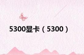 5300显卡（5300）