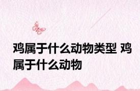 鸡属于什么动物类型 鸡属于什么动物