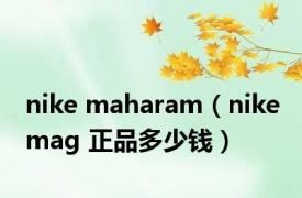 nike maharam（nike mag 正品多少钱）
