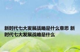 新时代七大发展战略是什么意思 新时代七大发展战略是什么