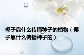 椰子靠什么传播种子的植物（椰子靠什么传播种子的）