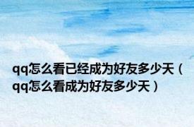 qq怎么看已经成为好友多少天（qq怎么看成为好友多少天）