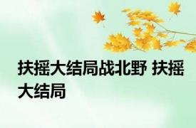 扶摇大结局战北野 扶摇大结局