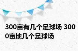 300亩有几个足球场 3000亩地几个足球场