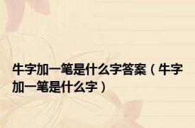 牛字加一笔是什么字答案（牛字加一笔是什么字）