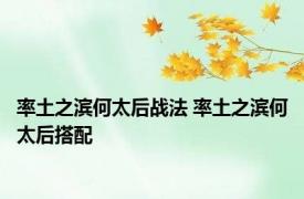 率土之滨何太后战法 率土之滨何太后搭配