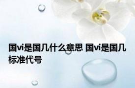 国vi是国几什么意思 国vi是国几标准代号