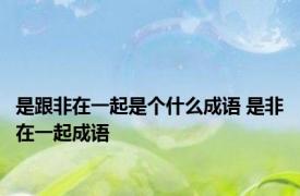 是跟非在一起是个什么成语 是非在一起成语