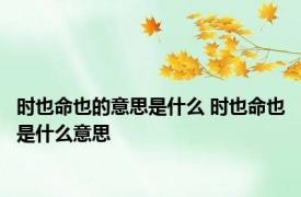 时也命也的意思是什么 时也命也是什么意思