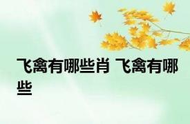 飞禽有哪些肖 飞禽有哪些