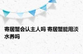 寄居蟹会认主人吗 寄居蟹能用淡水养吗