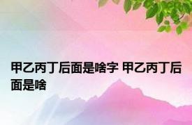 甲乙丙丁后面是啥字 甲乙丙丁后面是啥