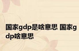 国家gdp是啥意思 国家gdp啥意思