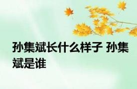 孙集斌长什么样子 孙集斌是谁