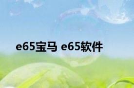e65宝马 e65软件 