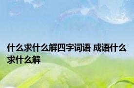 什么求什么解四字词语 成语什么求什么解