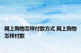 网上购物怎样付款方式 网上购物怎样付款