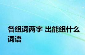 各组词两字 出能组什么词语