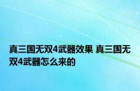 真三国无双4武器效果 真三国无双4武器怎么来的