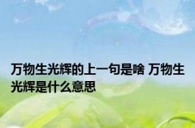 万物生光辉的上一句是啥 万物生光辉是什么意思